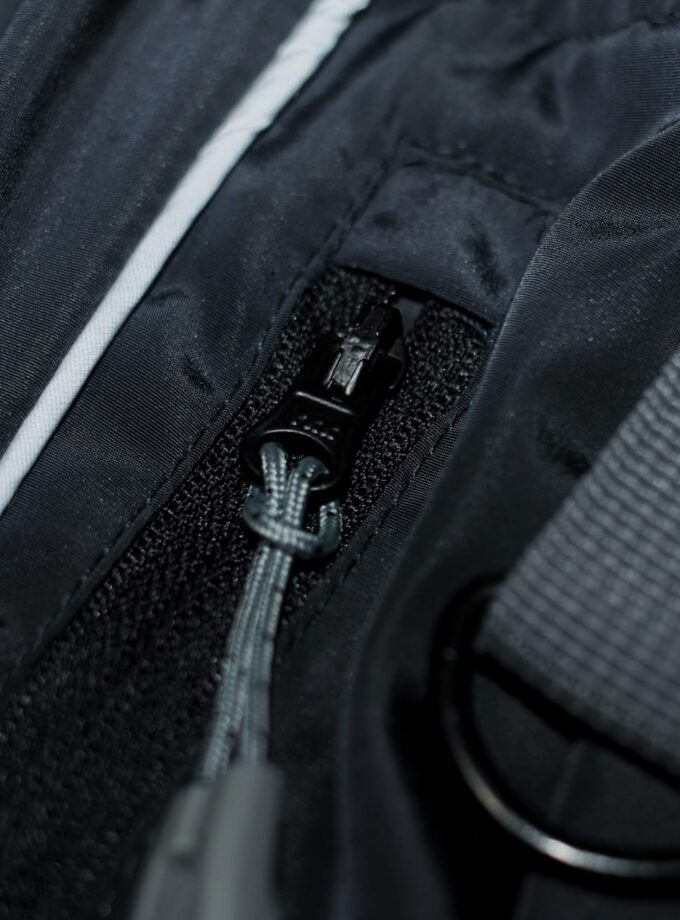 Wild Briminggham Pants V.1